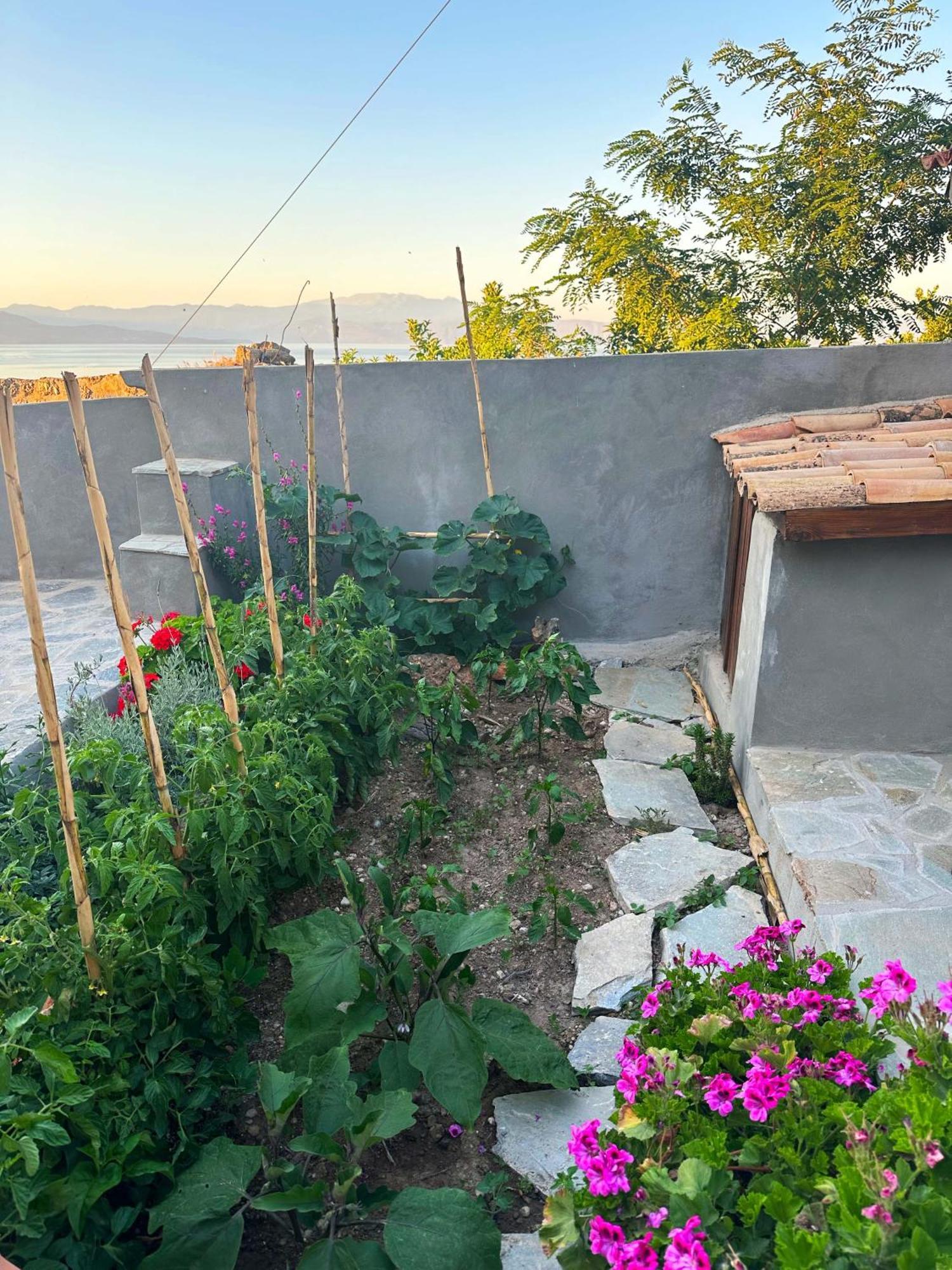 Fteri Stone House In Platanos, Akrata Apartment Exterior photo